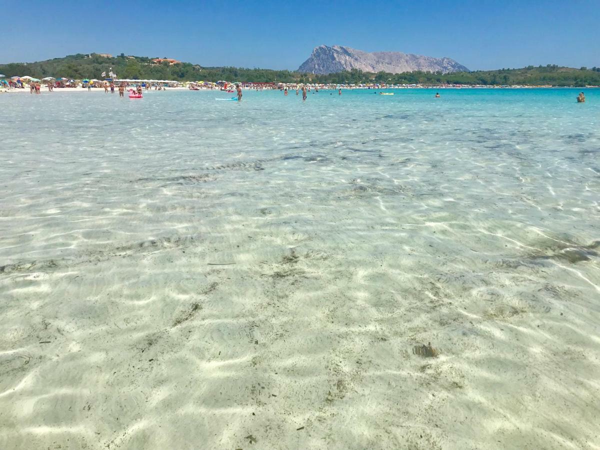 Le Case Di Helga Budoni Εξωτερικό φωτογραφία
